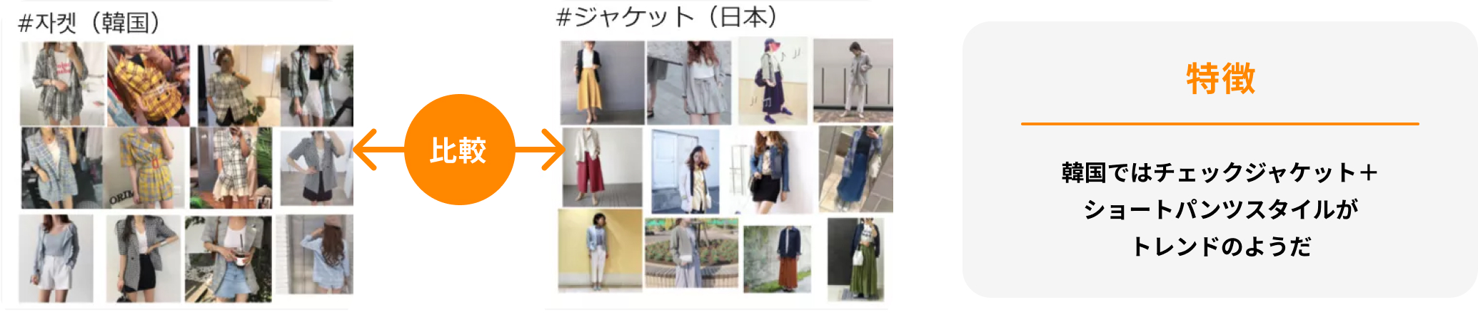 AI画像解析レポートの活用事例（アパレル）